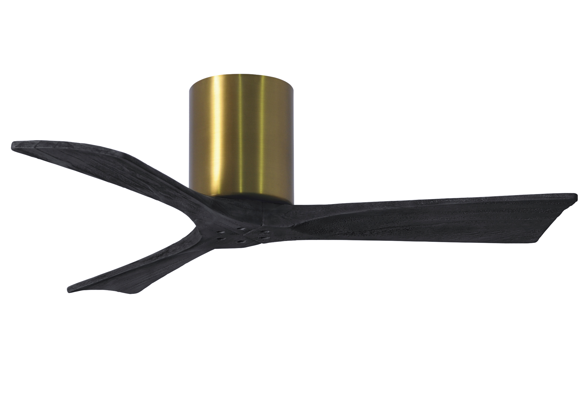 Irene-3H Ceiling Fan in Brushed Brass Finish with 42
