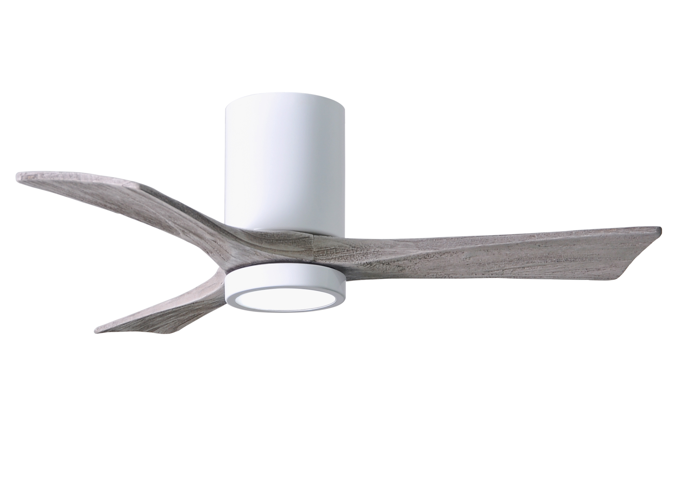 Irene-3HLK Ceiling Fan in Gloss White Finish with 42