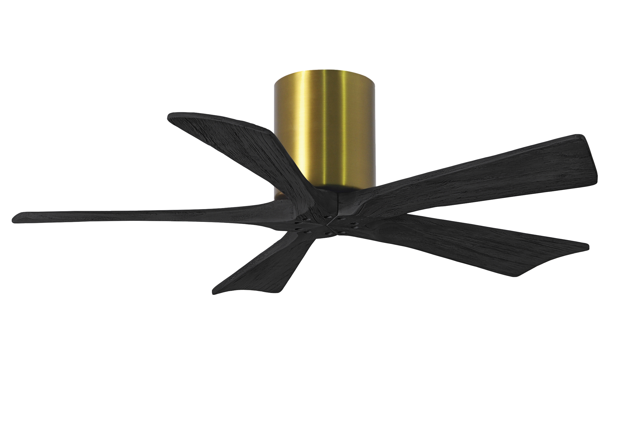 Irene-5H Ceiling Fan in Brushed Brass Finish with 42