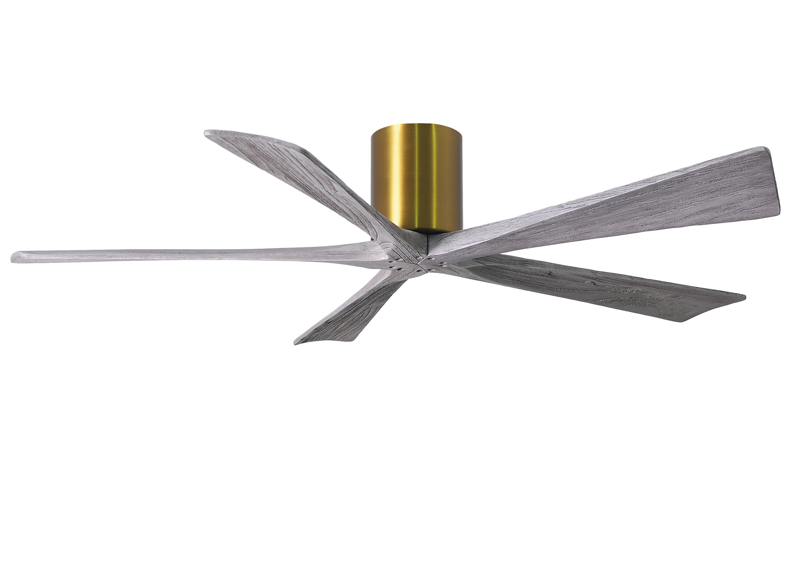 Irene-5H Ceiling Fan in Brushed Brass Finish with 60