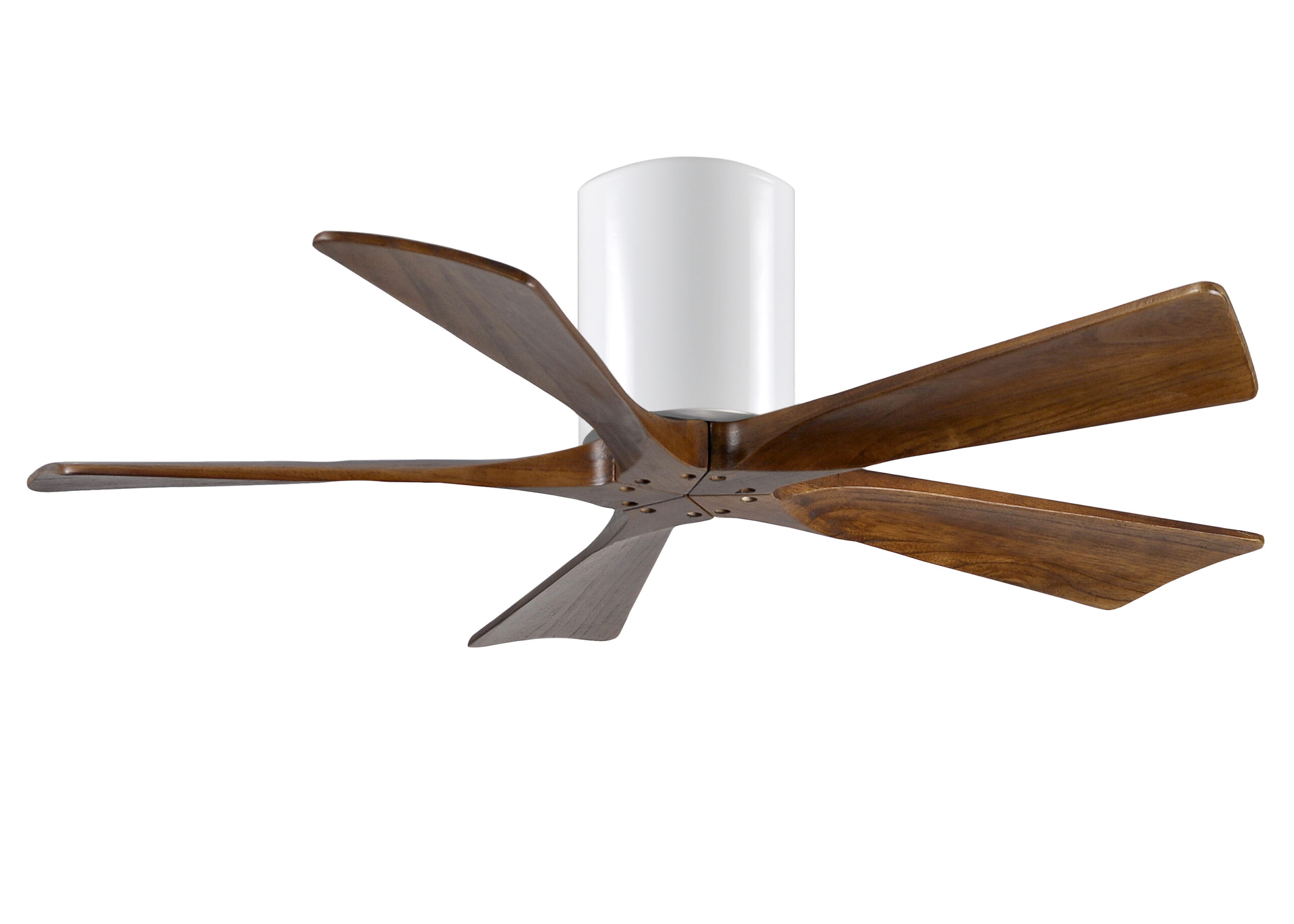 Irene-5H Ceiling Fan in Gloss White Finish with 42