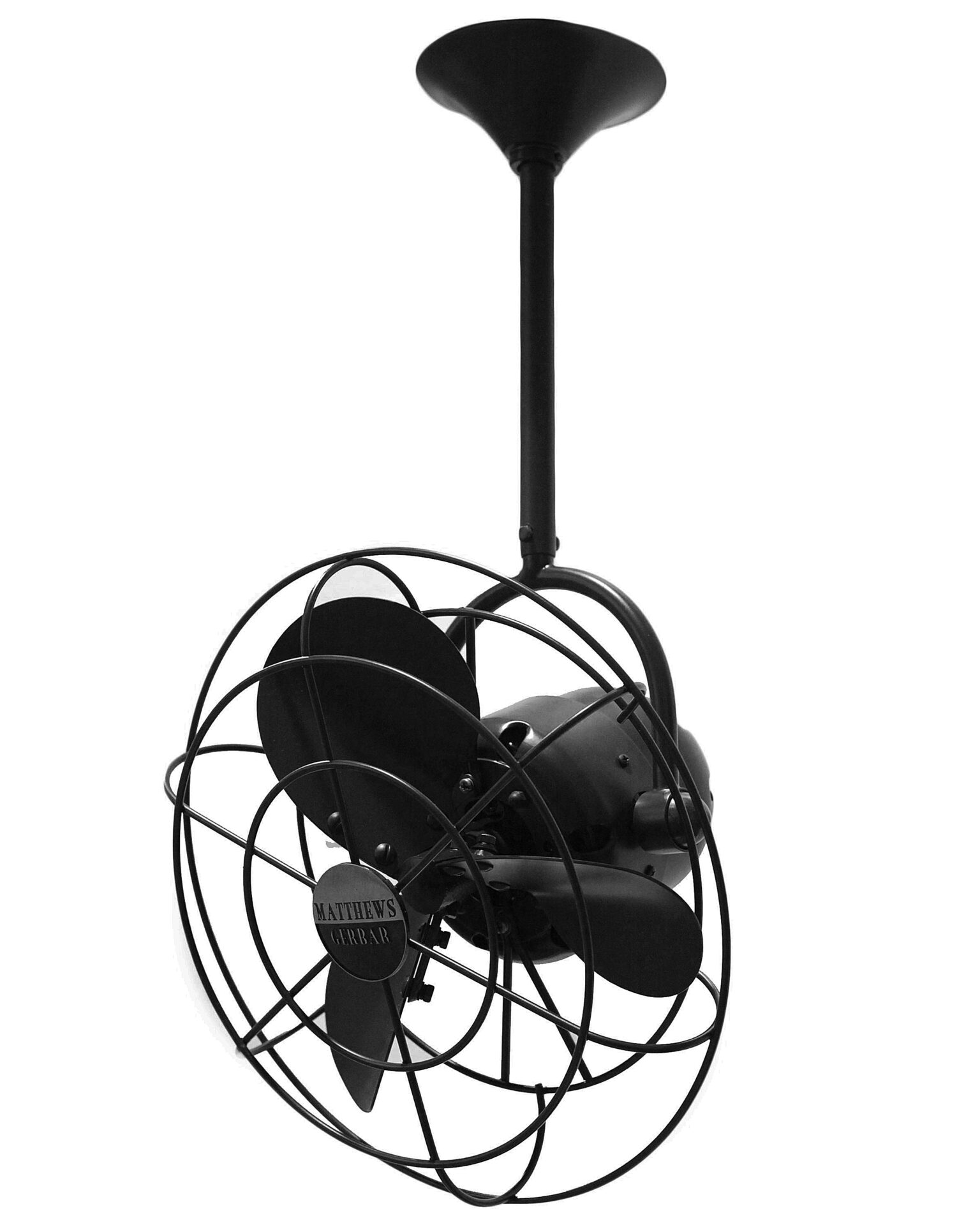 Bianca Direcional Ceiling Fan in Black with Metal Blades and Decorative Cage
